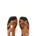 Pair of brown strappy sandals on a white background